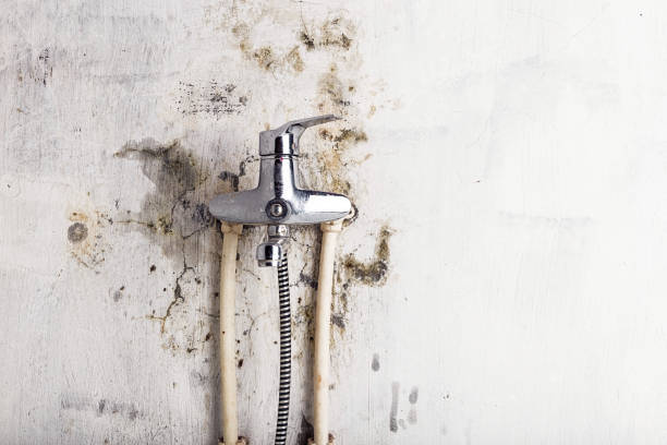 Best Emergency Mold Removal  in New Kingman Butler, AZ